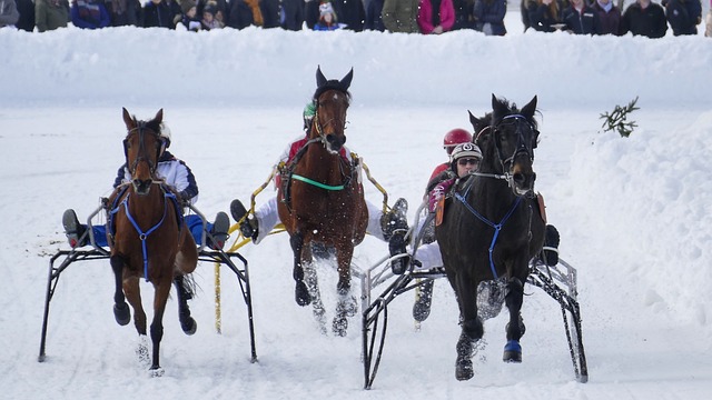 苏丹武装部队称在该国中部取得重大军事进展.