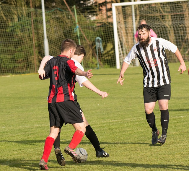 在维护社会 在维护社会