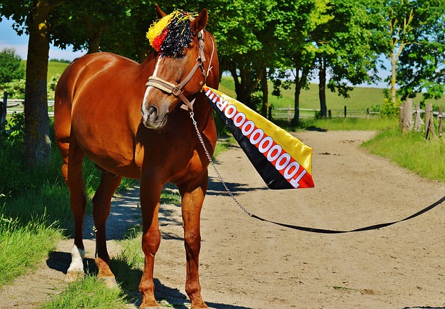 更续写了属 更续写了属